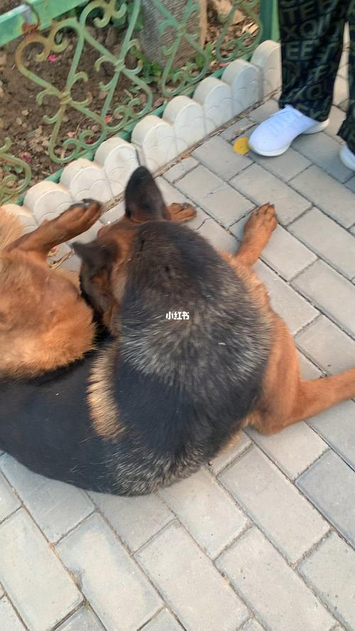 20221121141029_24728 20221121141029_24728