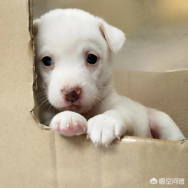 20221121141718_33926 20221121141718_33926