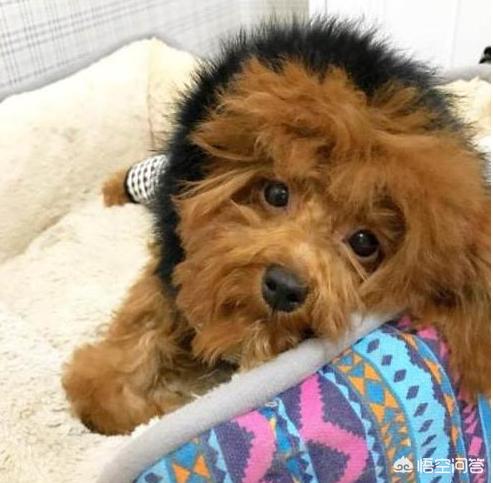 20221121141719_76184 20221121141719_76184