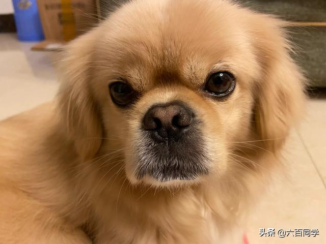 20221121141902_90504