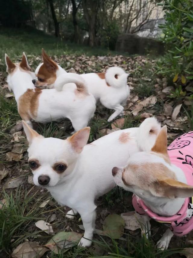 20221121143134_98842