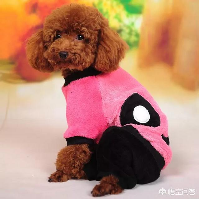 20221121143135_75566