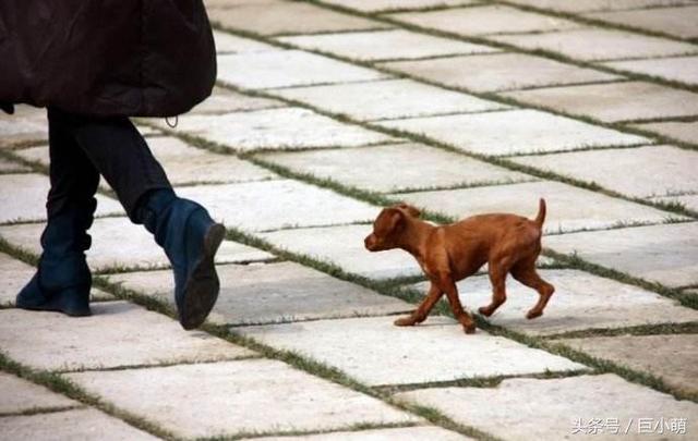 20221121155852_84940 20221121155852_84940