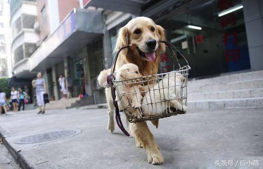 20221121155853_70176 20221121155853_70176