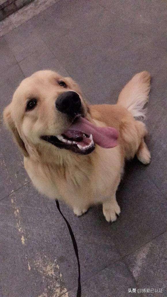 20221121162158_44106