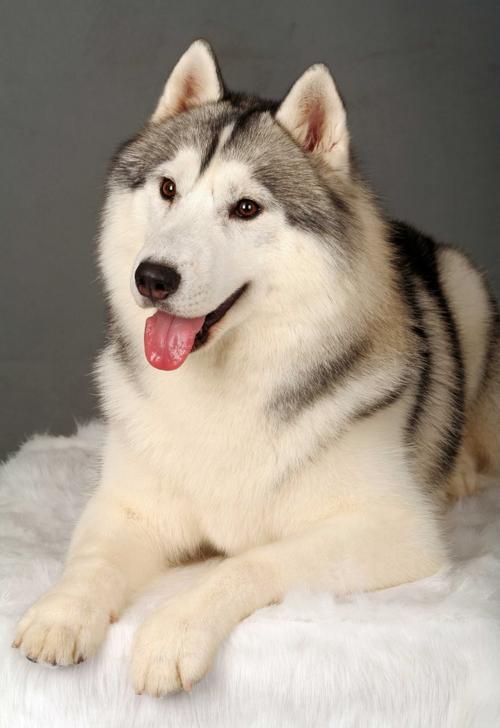 20221121162346_43851 20221121162346_43851