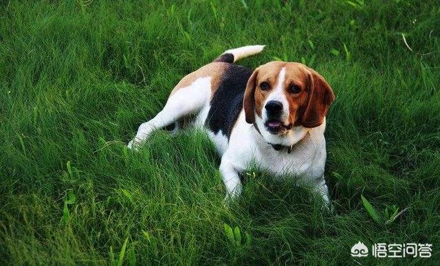 20221121163805_75029