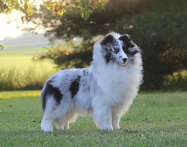 20221121164511_36272