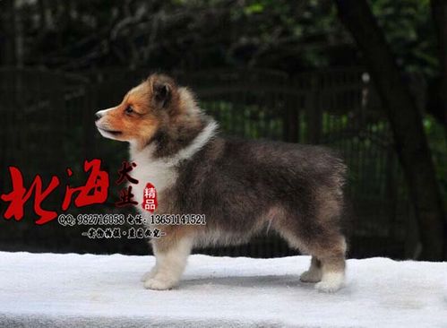 20221121164511_64101