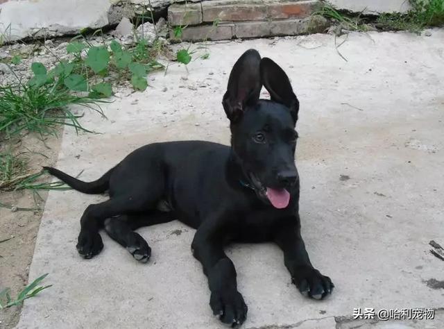 20221121164816_27610 20221121164816_27610