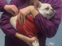 20221121165730_60521 20221121165730_60521