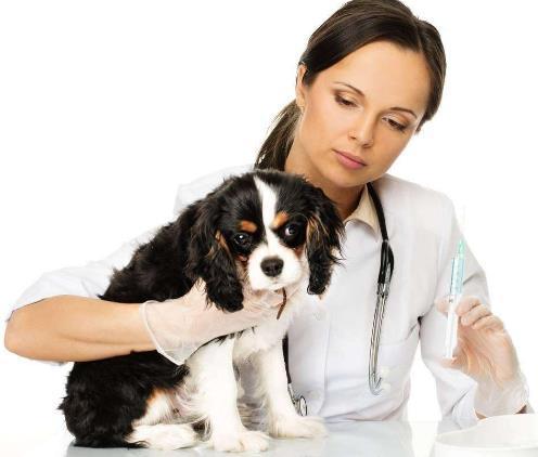 20221121165731_58563 20221121165731_58563