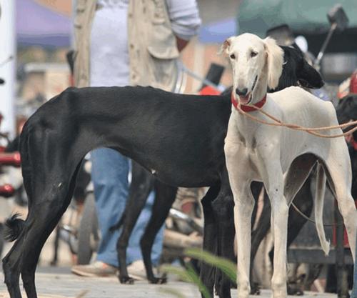 20221121170826_37286