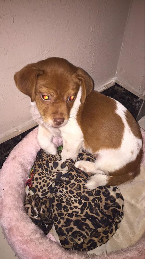 20221121170827_68484