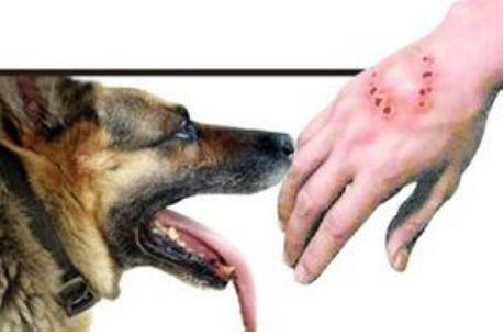 20221121172532_79724