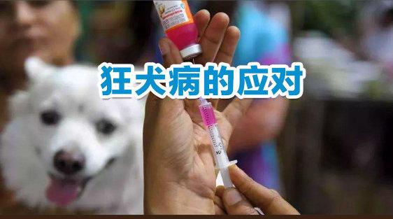 20221121172532_96239