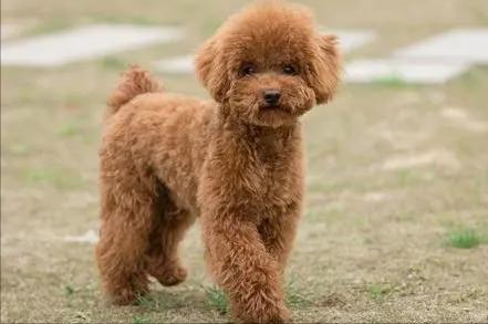 20221121174329_12086