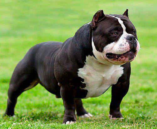 20221121175113_31224 20221121175113_31224