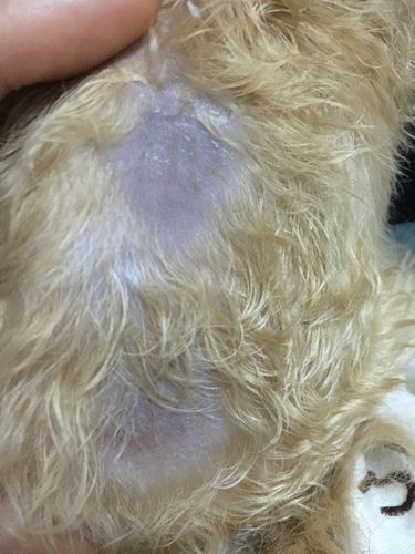 20221121183353_95589