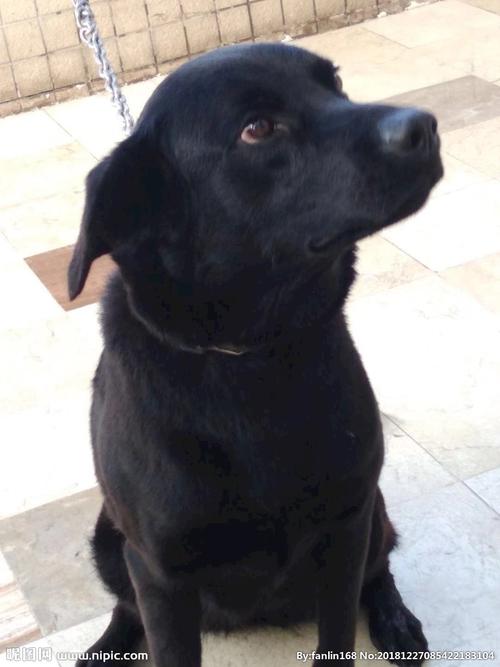 20221121192746_73430 20221121192746_73430