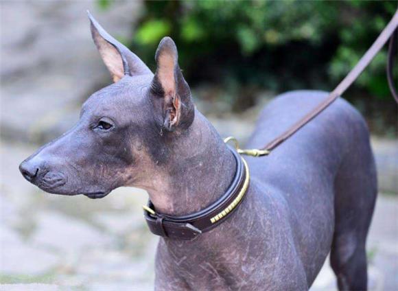 20221121194416_68989