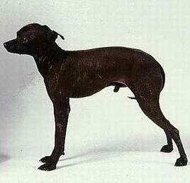 20221121194416_97235