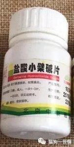 犬瘟试纸怎么用(猫瘟测试纸怎么用)-警犬训练器材厂家 _警犬训练用品_工作犬训练用品-南京开久警犬装备