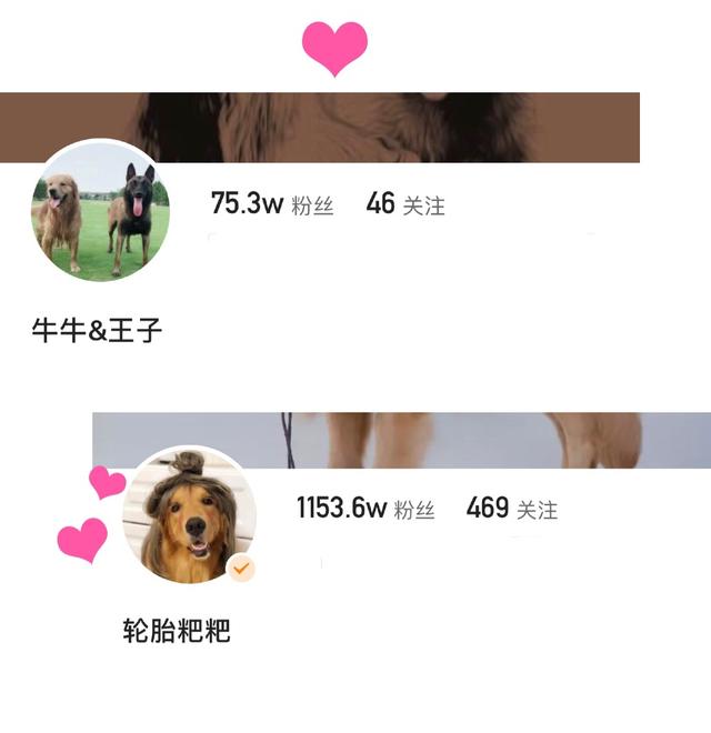 20221121195728_74748