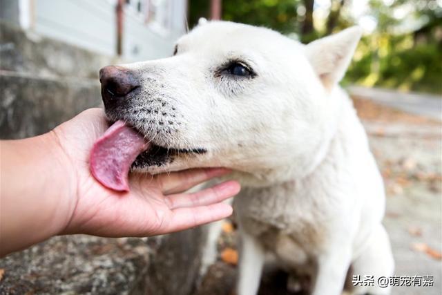 20221121195924_78038 20221121195924_78038