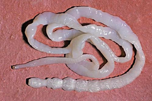 20221121213121_91639 20221121213121_91639