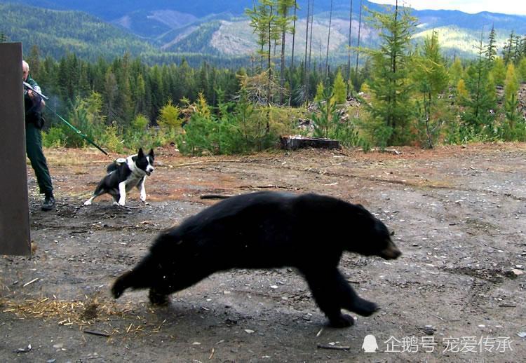 20221121213300_57641