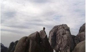 天狗望月的意思(天狗望月的意思是什)-警犬训练器材厂家 _警犬训练用品_工作犬训练用品-南京开久警犬装备