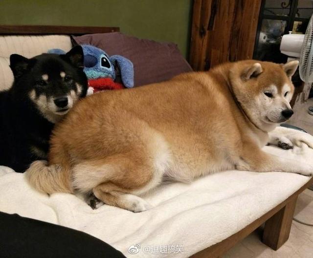 20221121221035_93194