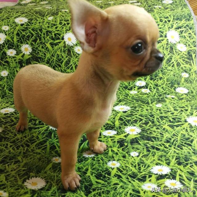 20221121221746_93223