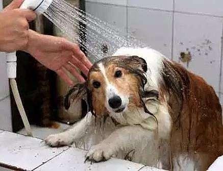 20221121223452_38246