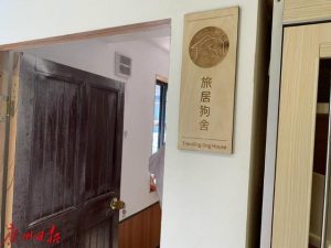 广州狗狗领养，广州哪里可以领养狗狗-警犬训练器材厂家 _警犬训练用品_工作犬训练用品-南京开久警犬装备