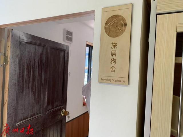 广州狗狗领养，广州哪里可以领养狗狗 - 警犬训练器材厂家 _警犬训练用品_工作犬训练用品-南京开久警犬装备-警犬训练器材厂家 _警犬训练用品_工作犬训练用品-南京开久警犬装备