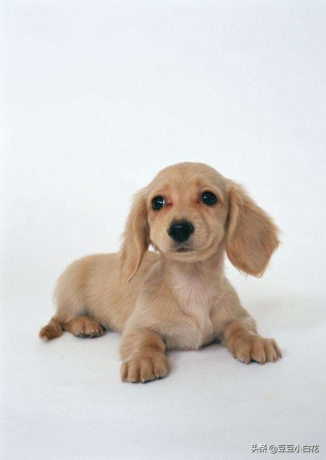 20221121231910_13447 20221121231910_13447