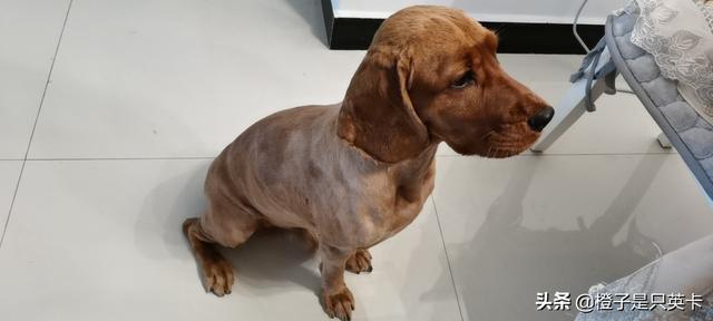 20221121233031_39566