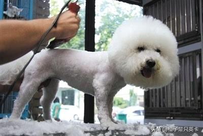 20221121233031_84694