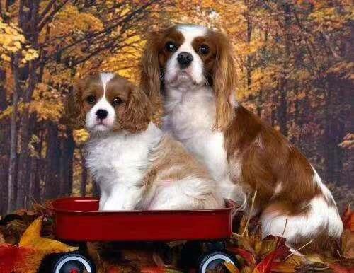 20221121233152_13553 20221121233152_13553