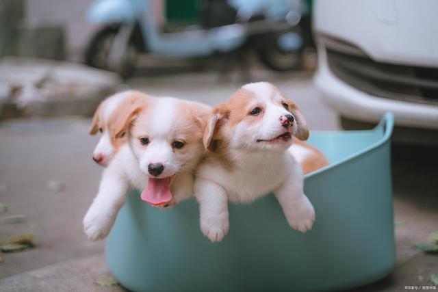 20221121233623_55564