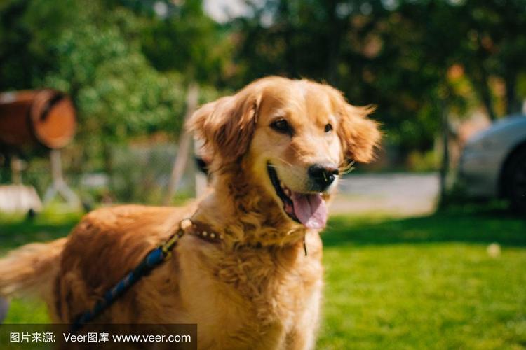 20221121233723_96878