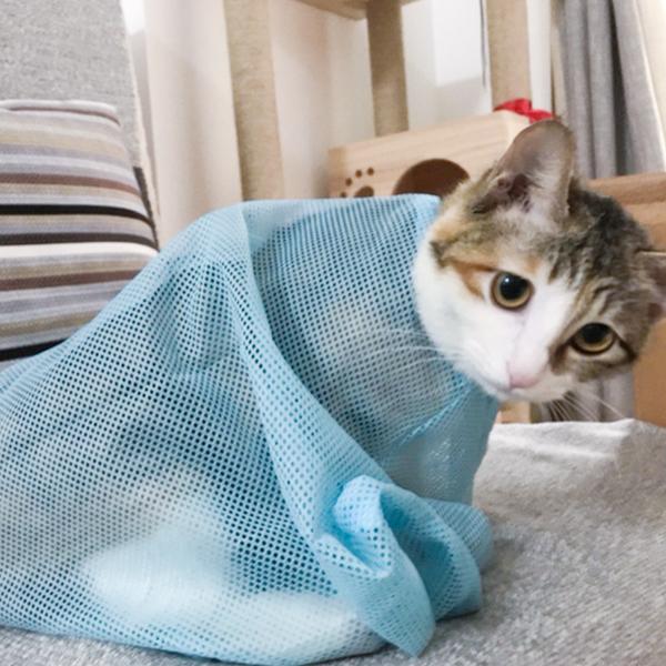 20221121233801_13301