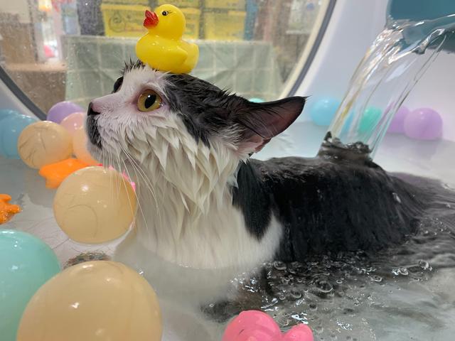 20221121233801_68344