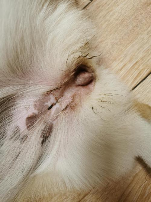 20221121234712_43378