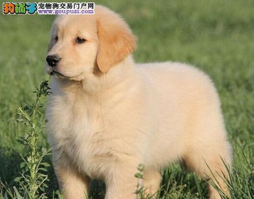 20221121235239_72669