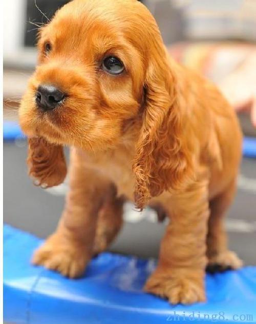 20221122000110_78559