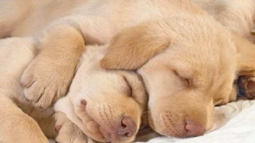 20221122001921_82687