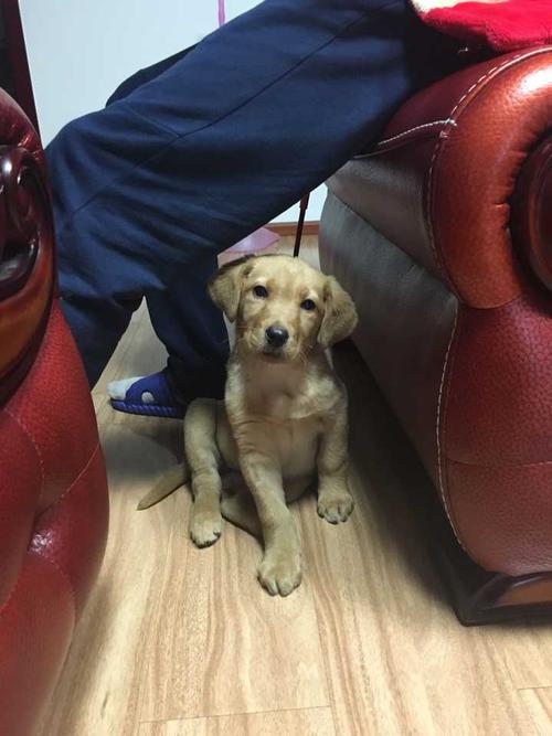 20221122002125_52011 20221122002125_52011